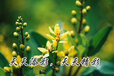 山東恒兆商貿(mào)有限公司
